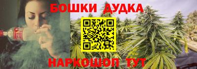 спиды Будённовск