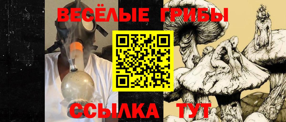 Псилоцибиновые грибы Cubensis Еманжелинск
