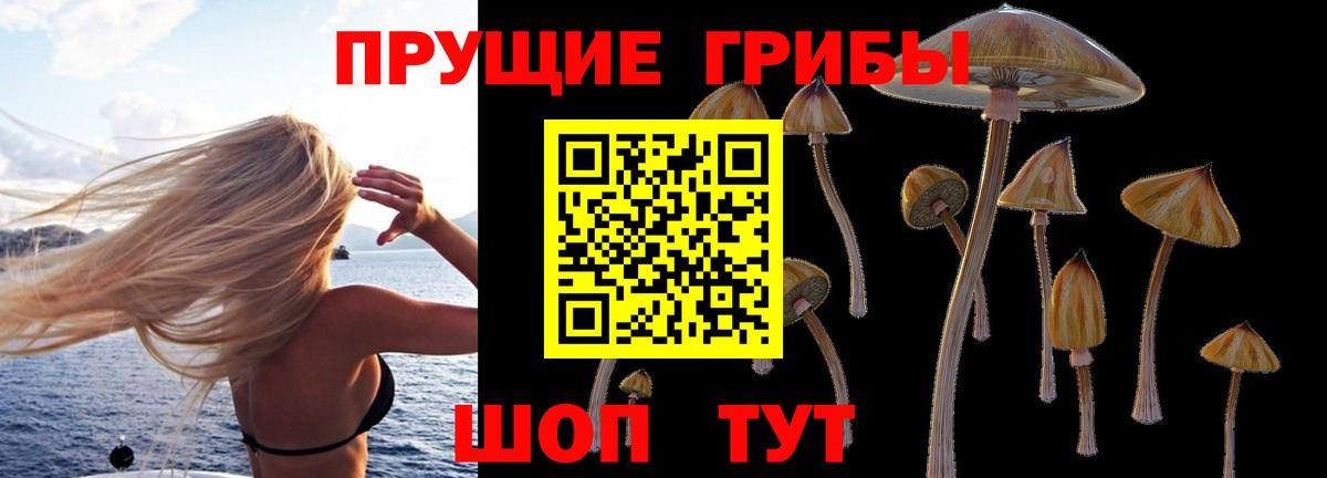 Галлюциногенные грибы MAGIC MUSHROOMS Еманжелинск