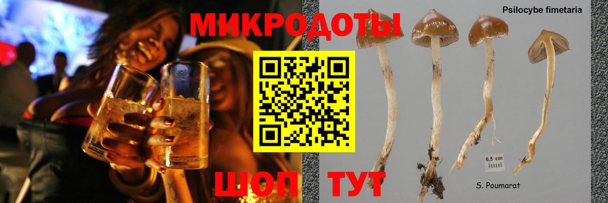 Псилоцибиновые грибы Еманжелинск