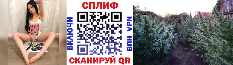 МАРИХУАНА семена  Еманжелинск 