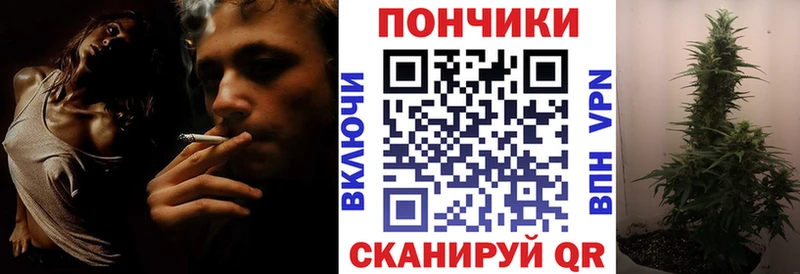 Бошки Шишки сатива Еманжелинск